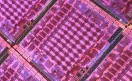 amd_rv770