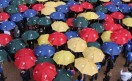 10-22umbrellas_web 10-22umbrellas_web