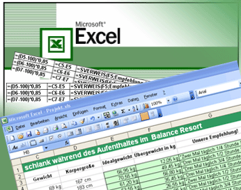 imagenExcel