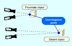Pana3D-Convergence-PointWEB Pana3D-Convergence-PointWEB