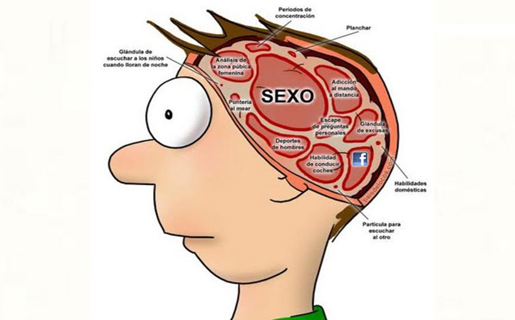 cerebro-facebook
