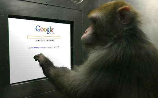 monkey-google