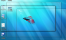 acomodarwindows1