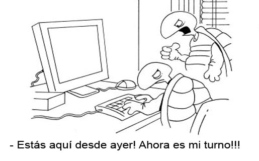 speed-web