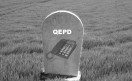 telefijo