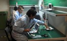 2011-08-16_14-03-01_30