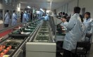 2011-08-16_14-03-28_929