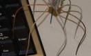araña-ethernet araña-ethernet