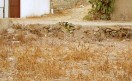 gato-escondido gato-escondido
