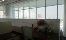 El clásico sombrero rojo no podía faltar en la típica oficina open. El clásico sombrero rojo no podía faltar en la típica oficina open.