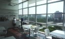 cafetería La cafetería es un espacio de relax en donde se "mima" a los empleados.
