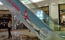 avion avion