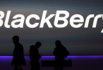 blackberry