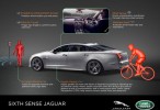 jaguar-mind-sense