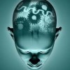 La Mente integra diversas facultades del cerebro que permite reunir información, razonar y sacar conclusiones.
