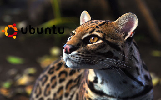 Ubuntu 11.10 ya tiene nombre: “Oneiric Ocelot”