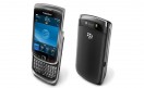 Blackberry Torch