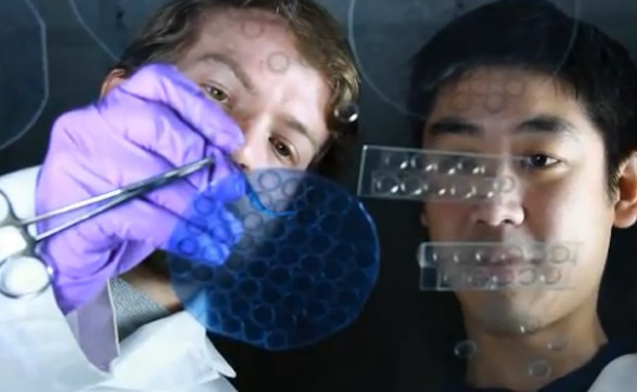 Microsoft y la Universidad de Washington, juntos por la salud