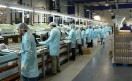 Según Maraschin, trabajan 50 personas sólo en la fabricación de motherboards.