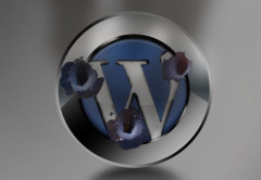 WordPress bajo ataque. Los sitios con la cuenta predeterminada llamada "admin" son los más vulnerables.