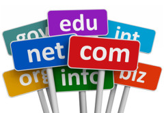 Más de la mitad de los dominios registrados son del tipo .com y .net, si bien un gran porcentaje son comprados con fines especulativos.