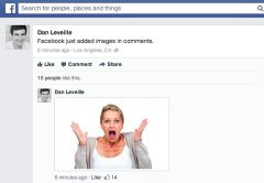 La fotografía subida por Leveille a DevianART reveló la nueva característica de Facebook.