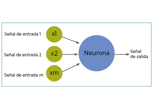 Informe Users 162 Deep Learning