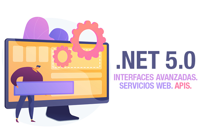 net aplicaciones web